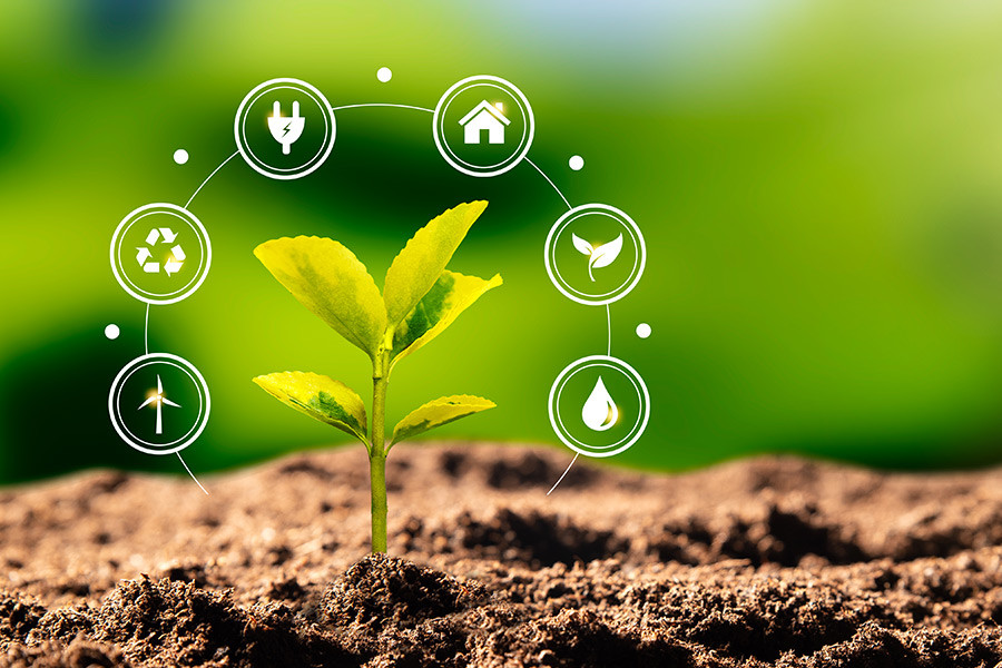 Sustentabilidade: a bem do planeta e das empresas